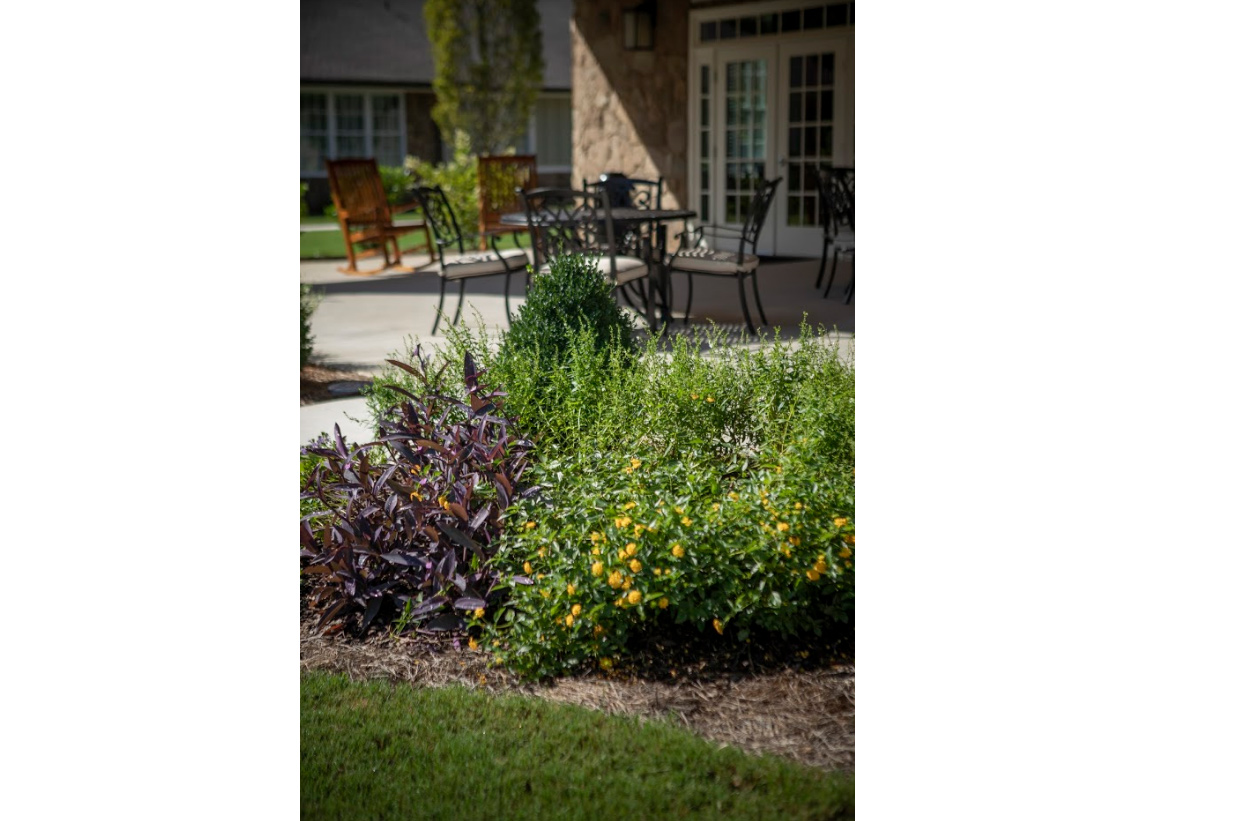 Manor Lake Gainesville - Stone Manor Lake Gainesville - Stone