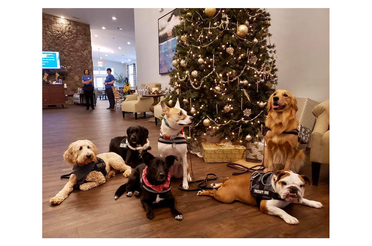 Manor Lake Gainesville - Christmas 2019 Manor Lake Gainesville